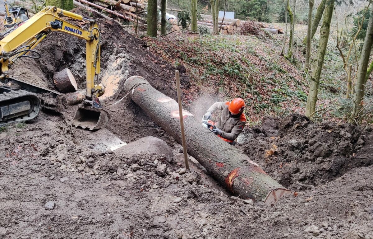 Bachverbau herbligen 04 1