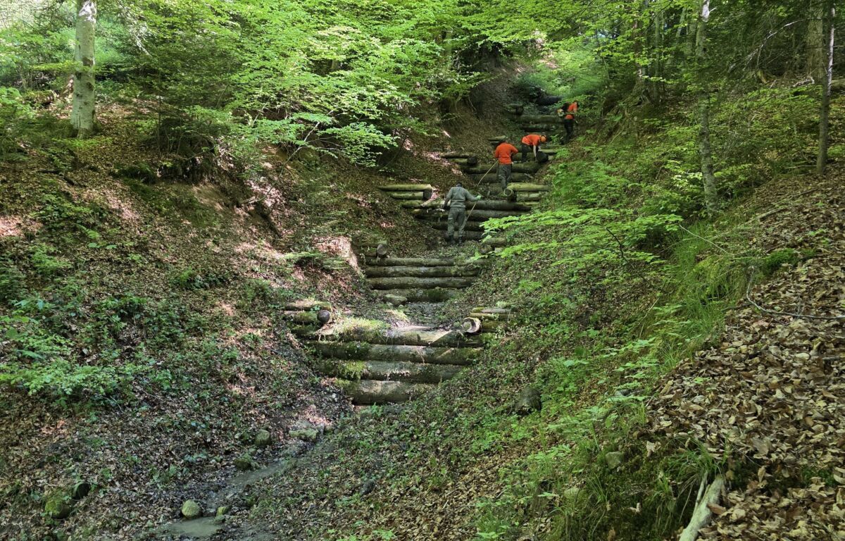 Bacharbeiten tonisbach